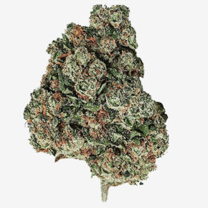 WHITE WIDOW