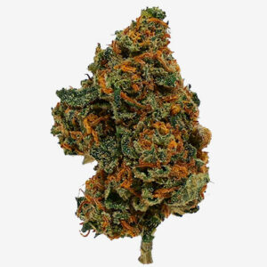 ORANGE BUD