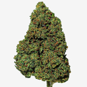 CRITICAL KUSH