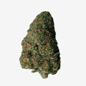 JACK HERER