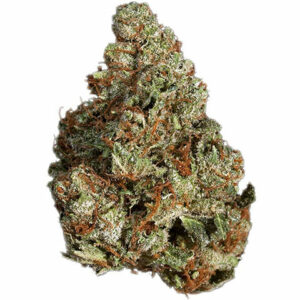COOKIE KUSH
