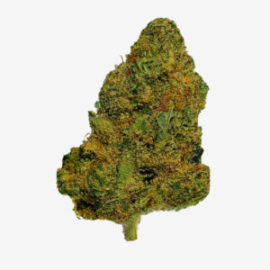 MANGO KUSH