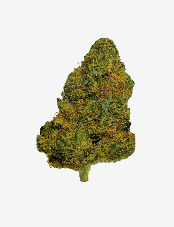 MANGO KUSH