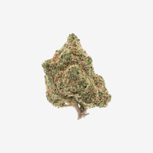 GELATO