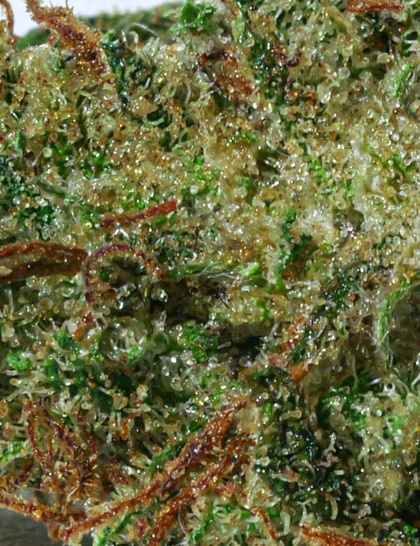 SUPER SILVER HAZE – Image 2