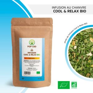 INFUSION CBD BIO COOL&RELAX
